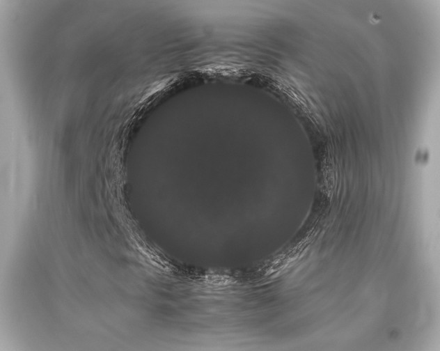 X0000092061297200709121346