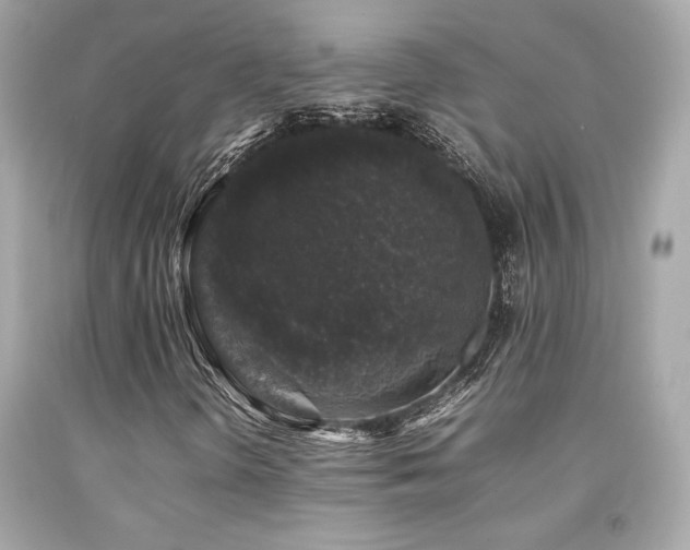 X0000092061298200709121346