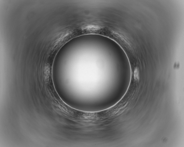 X0000092061299200709121346