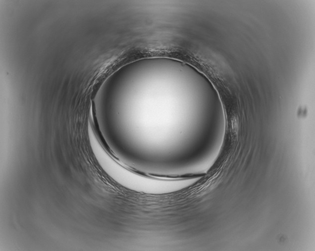 X0000092061300200709121346