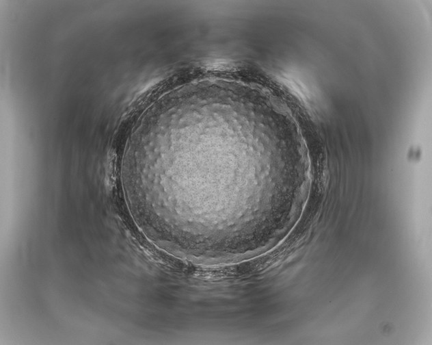 X0000092061301200709121346