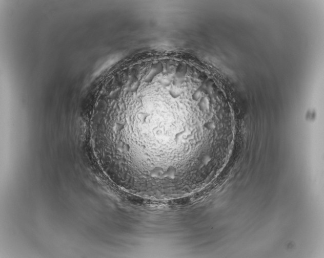 X0000092061302200709121346