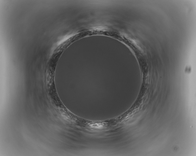 X0000092061303200709121346