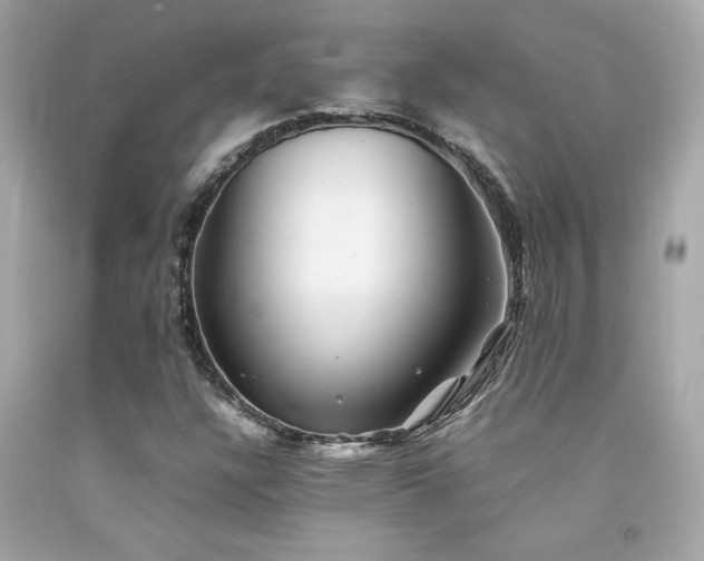 X0000092061304200709121346