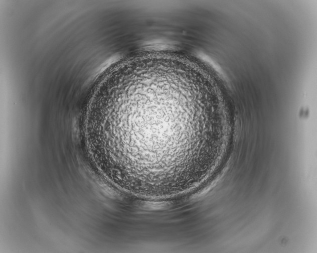 X0000092061305200709121346