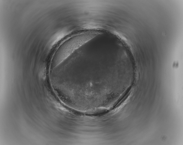 X0000092061306200709121346