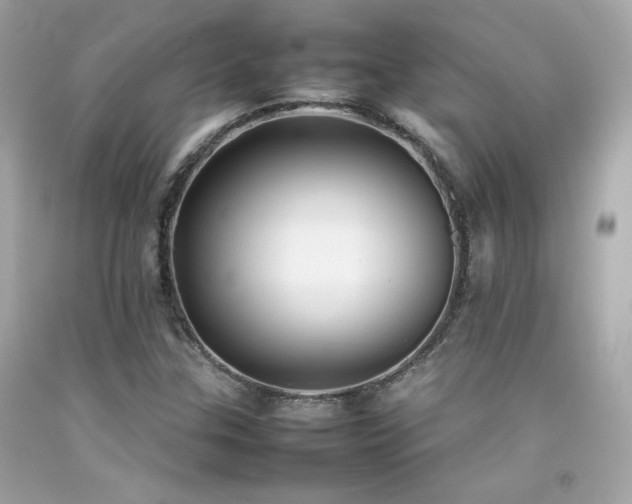 X0000092061307200709121346