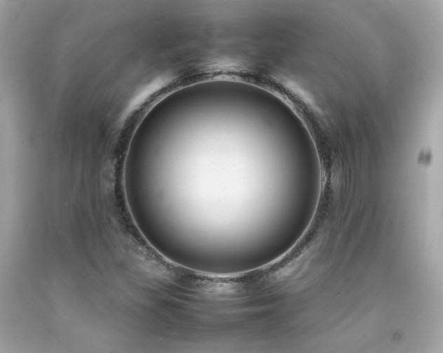 X0000092061309200709121346