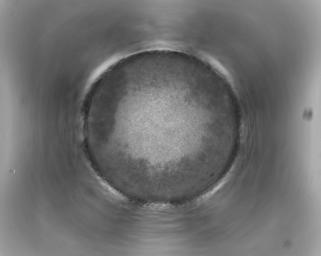 X0000092061310200709121347