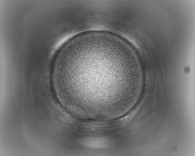 X0000092061311200709121347