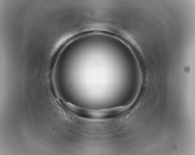 X0000092061312200709121347
