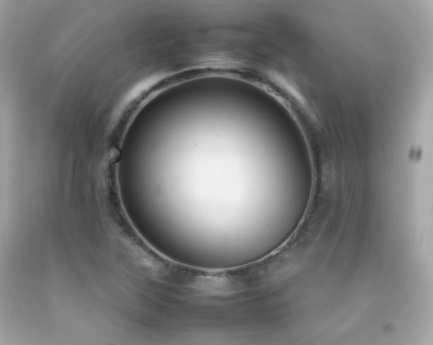 X0000092061315200709121347
