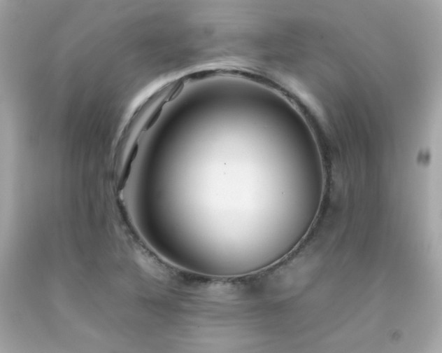X0000092061316200709121347