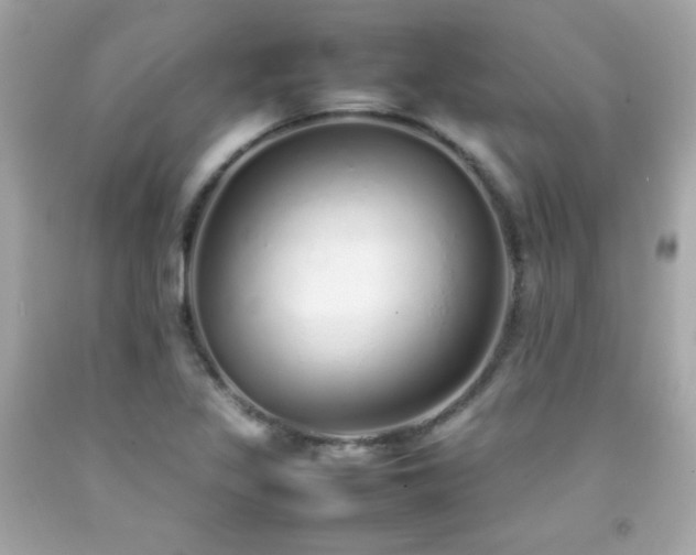 X0000092061317200709121347