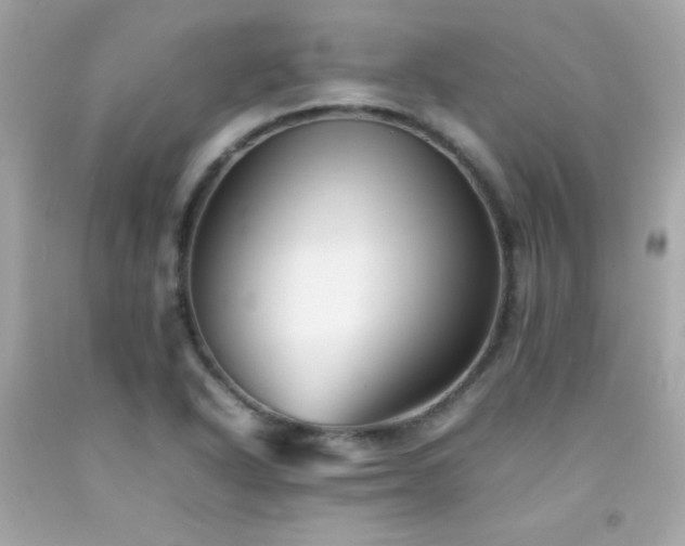 X0000092061318200709121347