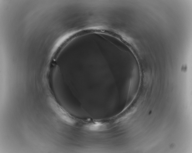 X0000092061319200709121347