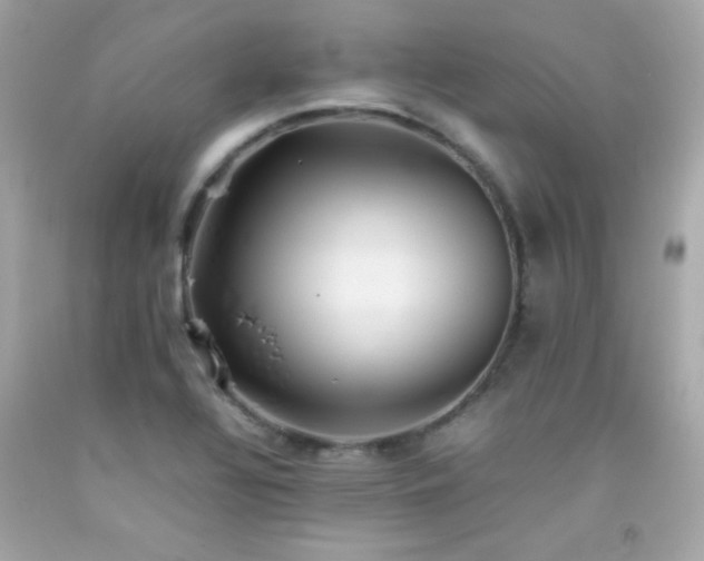 X0000092061320200709121347