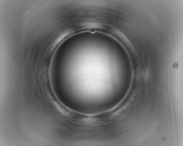 X0000092061321200709121347