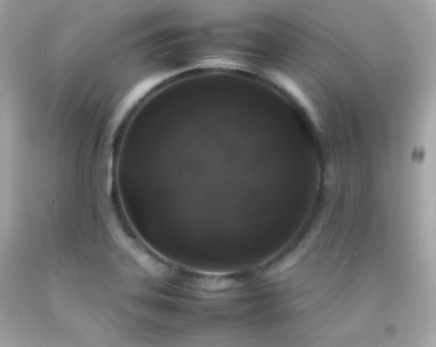 X0000092061323200709121347