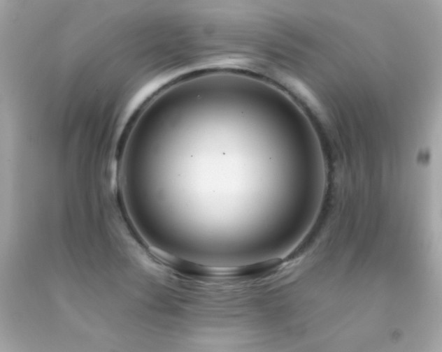 X0000092061324200709121347