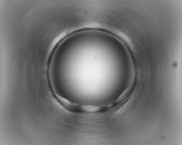 X0000092061326200709121347