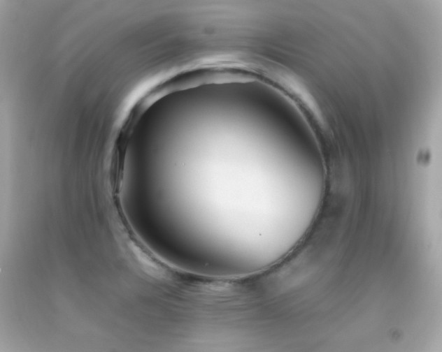 X0000092061328200709121347