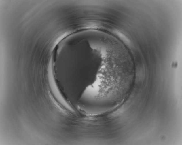 X0000092061329200709121347