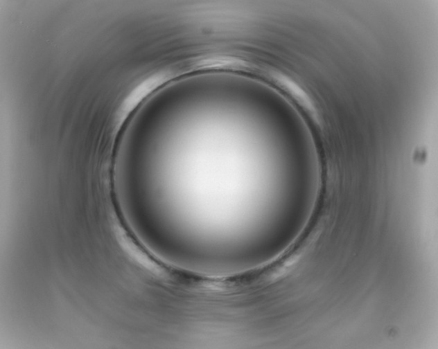 X0000092061330200709121347