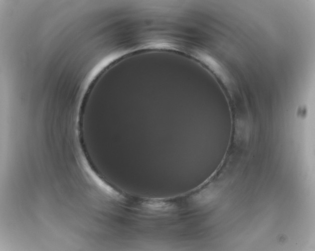 X0000092061331200709121347