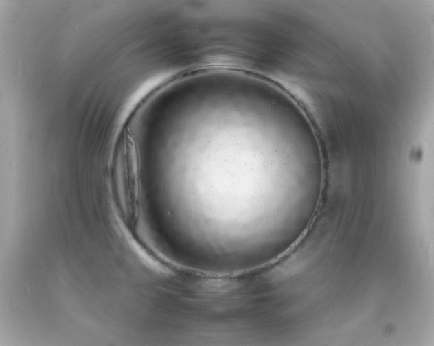 X0000092061333200709121347