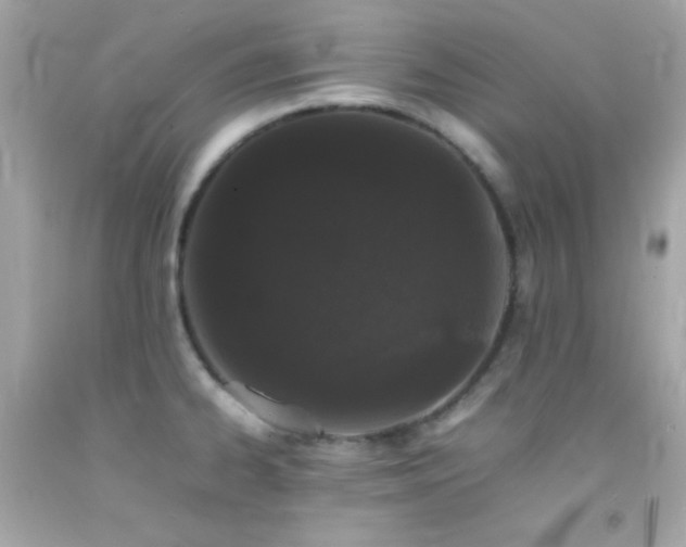 X0000092061334200709121347
