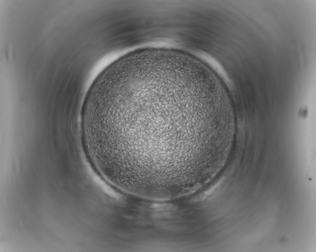 X0000092061335200709121347