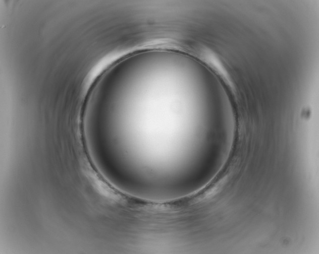 X0000092061336200709121347