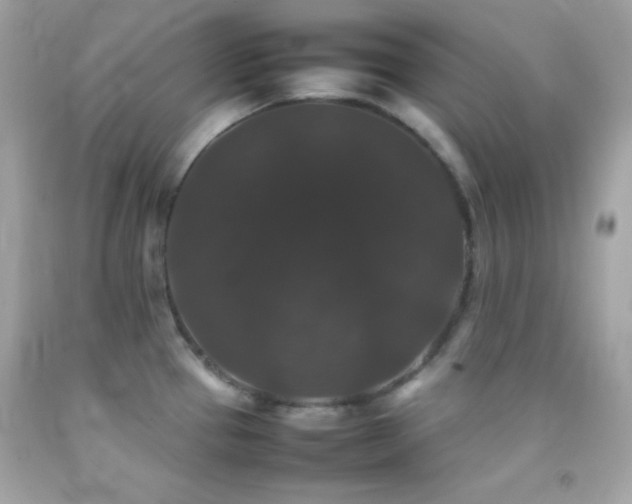 X0000092061337200709121347