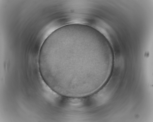 X0000092061338200709121347
