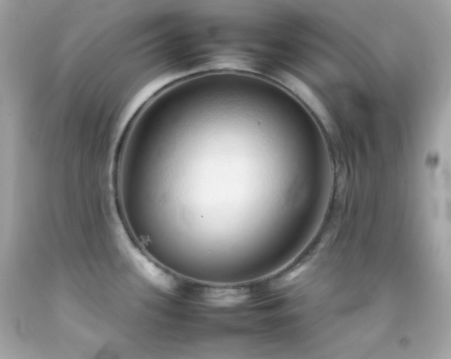 X0000092061339200709121347