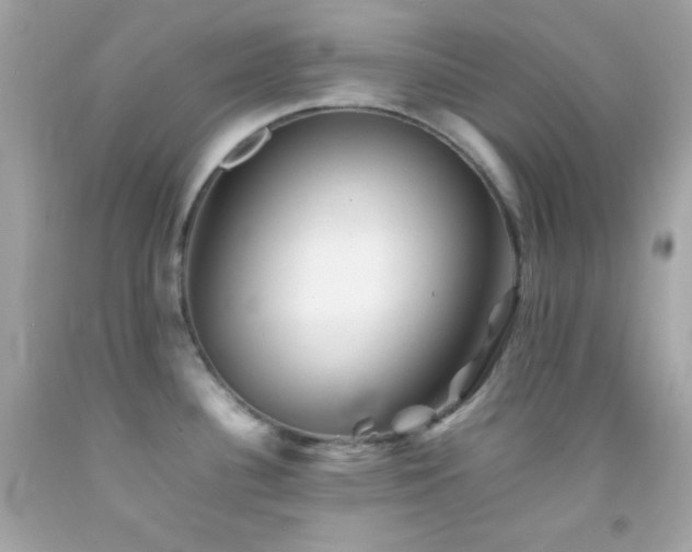 X0000092061340200709121347