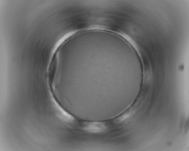 X0000092061341200709121347