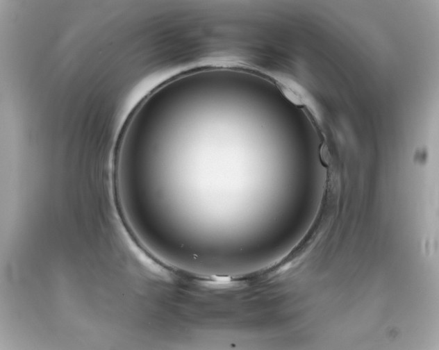 X0000092061343200709121347