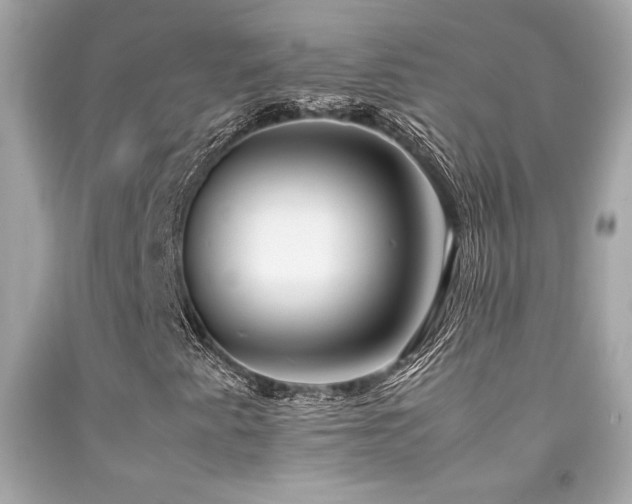 X0000092061345200709121346