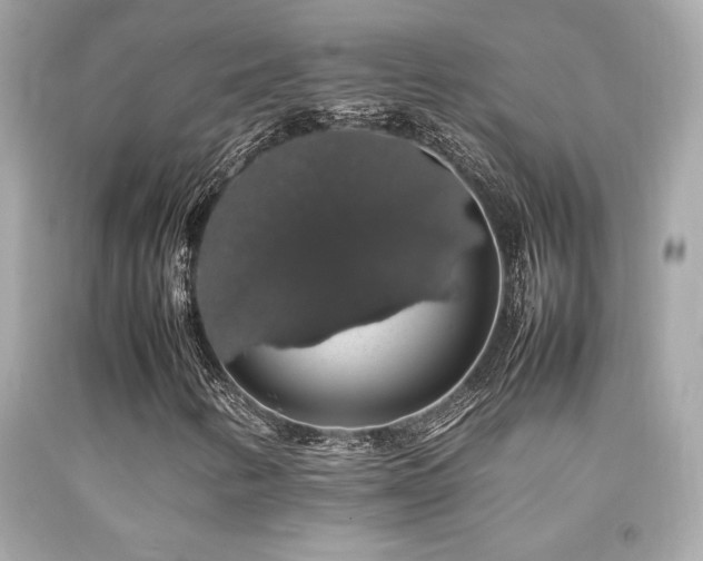 X0000092061346200709121346