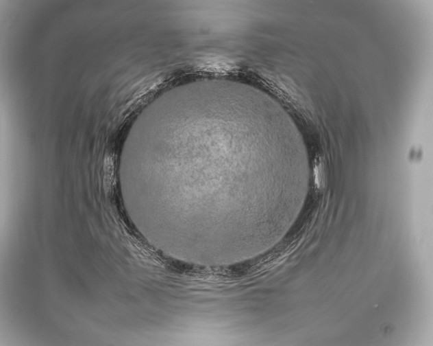 X0000092061347200709121346