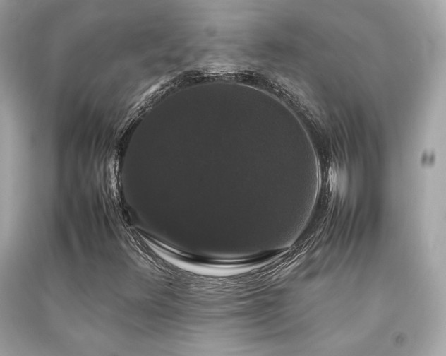 X0000092061348200709121346