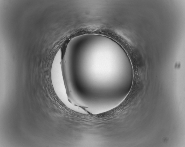 X0000092061349200709121346