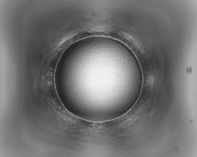 X0000092061350200709121346