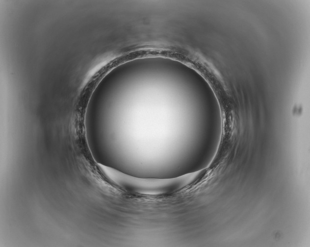 X0000092061352200709121346