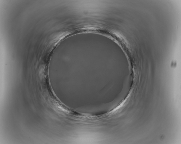 X0000092061353200709121346