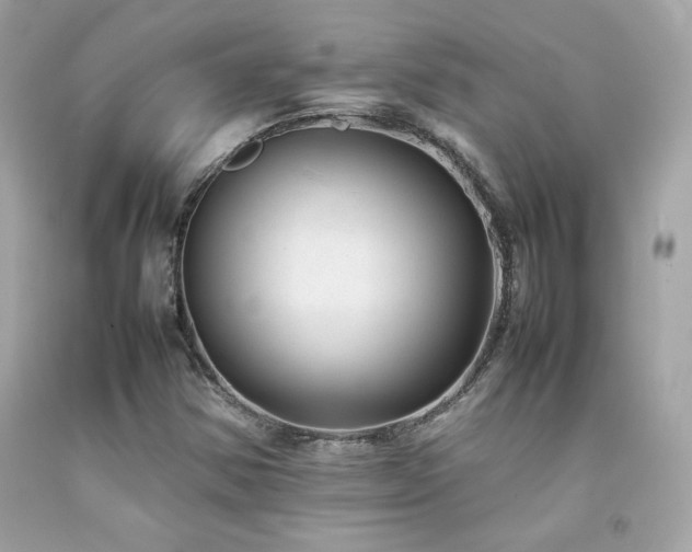 X0000092061354200709121346