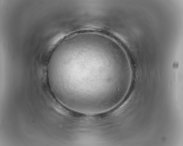 X0000092061355200709121346