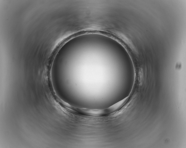X0000092061356200709121346